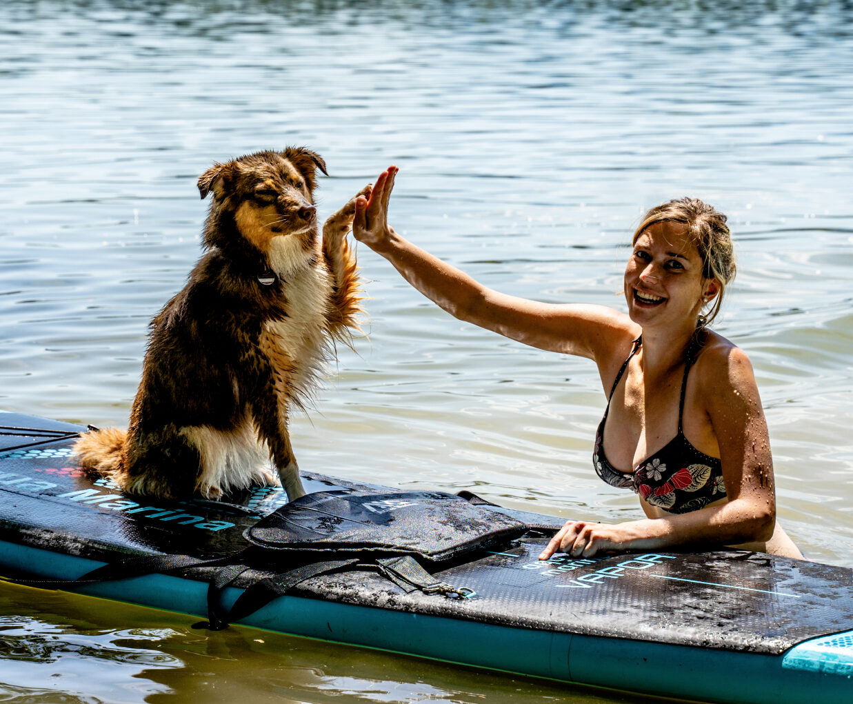 Ein flauschiger Hund sitzt auf einem Stand-Up-Paddel-Board und gibt seinem Frauchen im Wasser ein High-Five