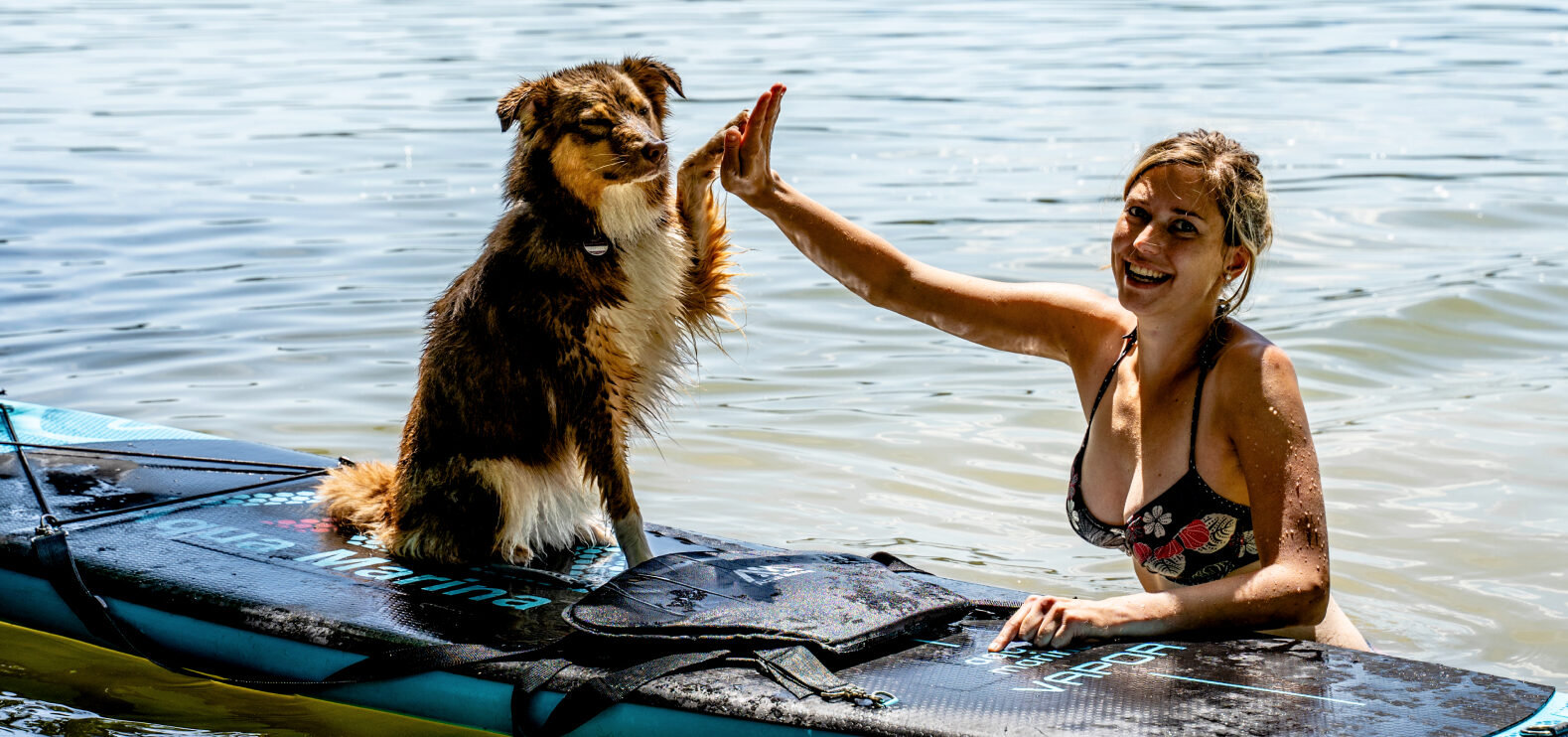 Ein flauschiger Hund sitzt auf einem Stand-Up-Paddel-Board und gibt seinem Frauchen im Wasser ein High-Five