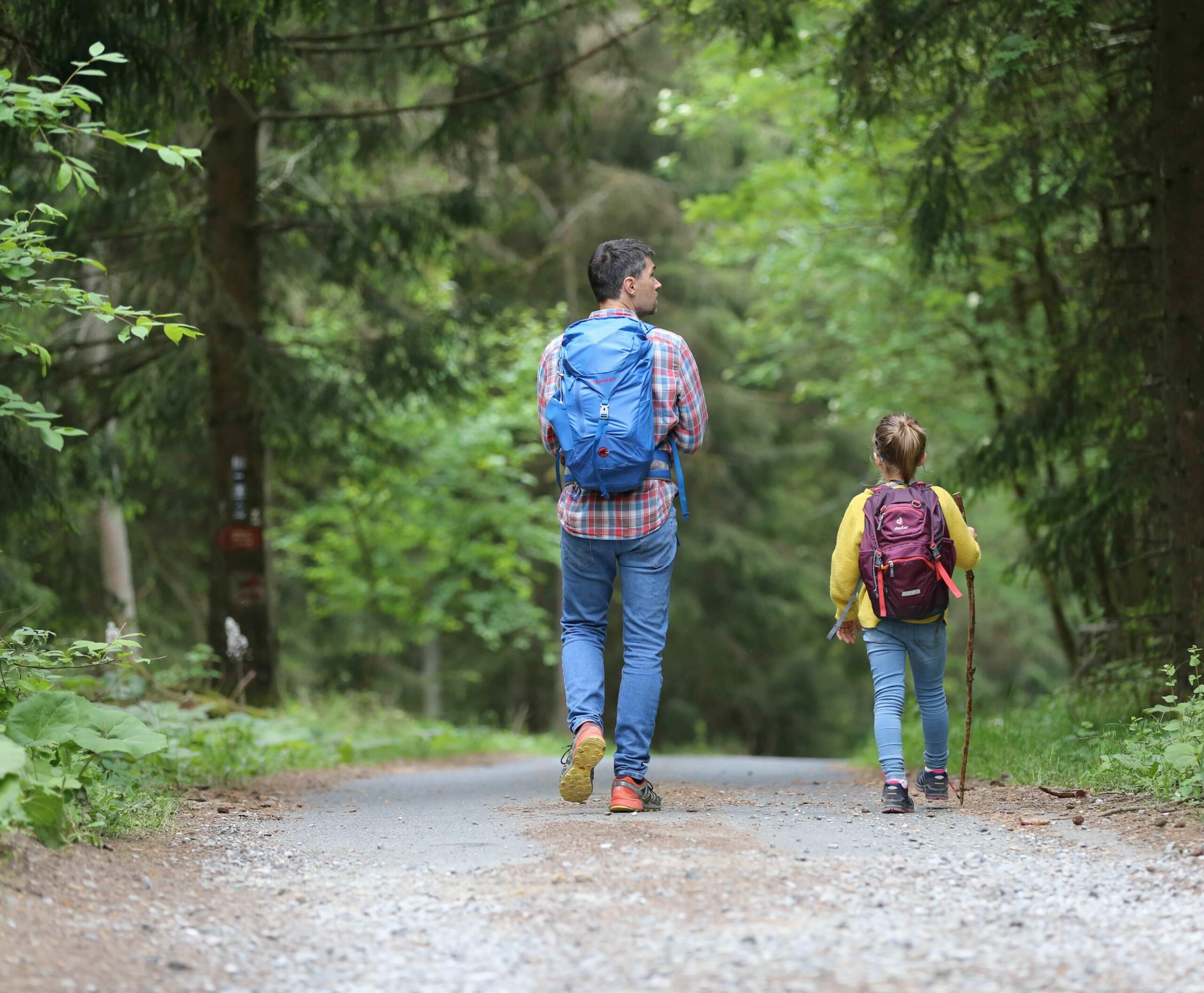 Ein Erwachsener und ein Kind mit Wanderausrüstung und Rucksäcken laufen auf einem von großen Bäumen umgebenen Waldweg