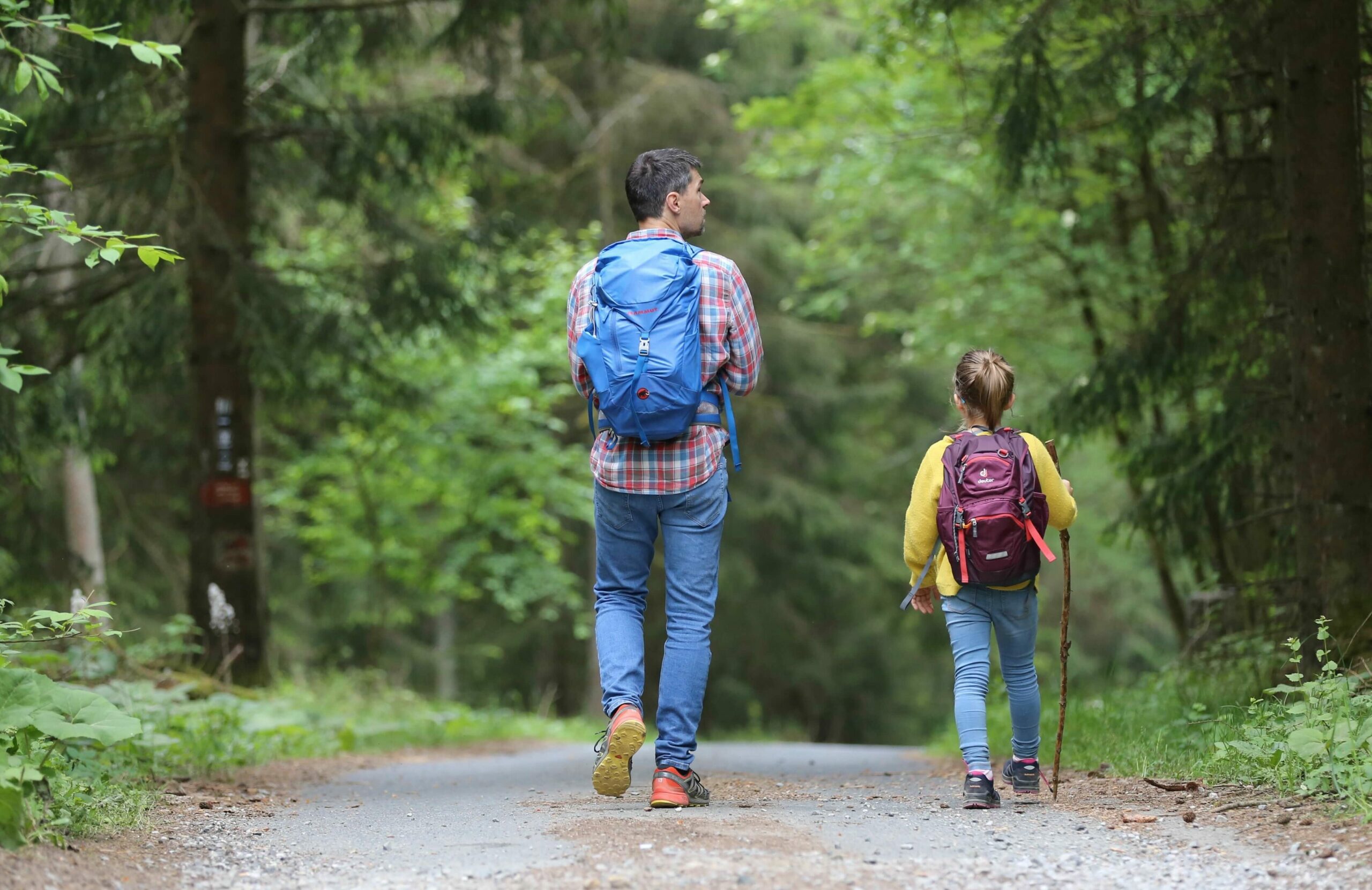 Ein Erwachsener und ein Kind mit Wanderausrüstung und Rucksäcken laufen auf einem von großen Bäumen umgebenen Waldweg
