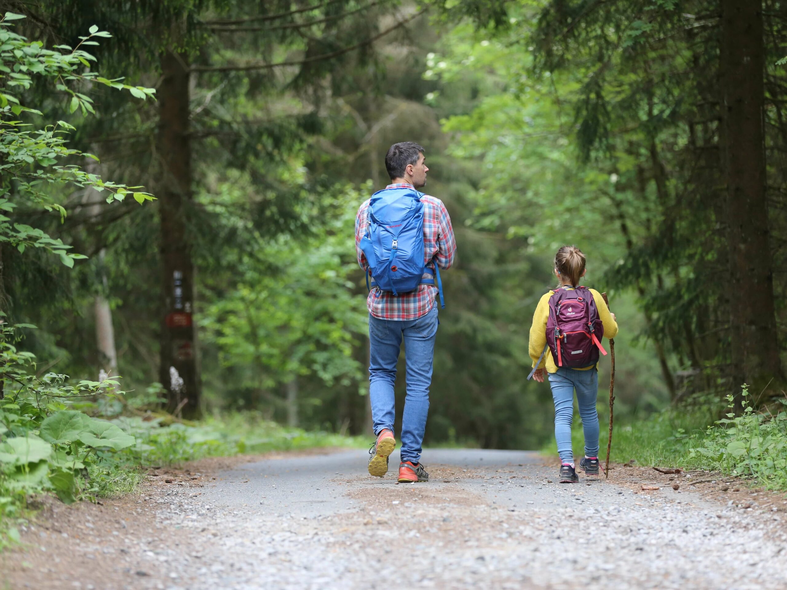 Ein Erwachsener und ein Kind mit Wanderausrüstung und Rucksäcken laufen auf einem von großen Bäumen umgebenen Waldweg
